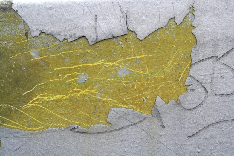 the yellow leaves are visible on the grey concrete