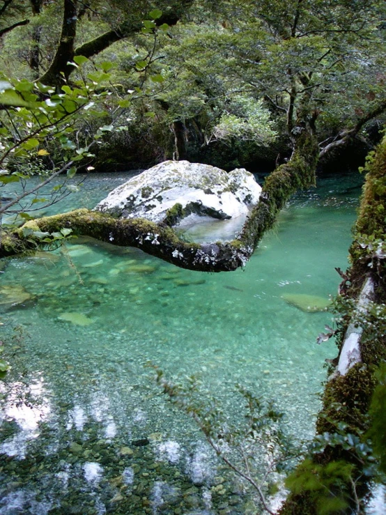 there is a rock in a stream that's green