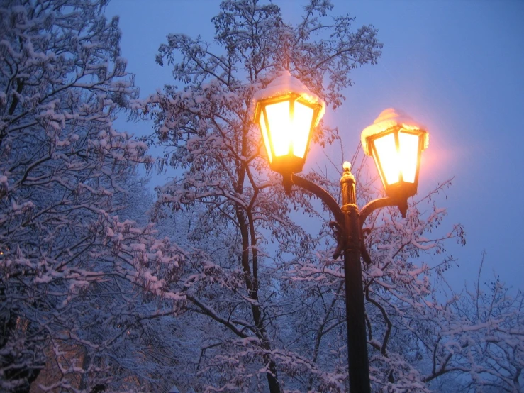 streetlight with snow covered trees in the background