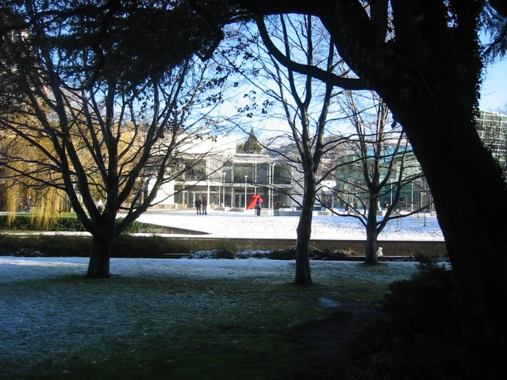 the view from behind some trees in a grassy area