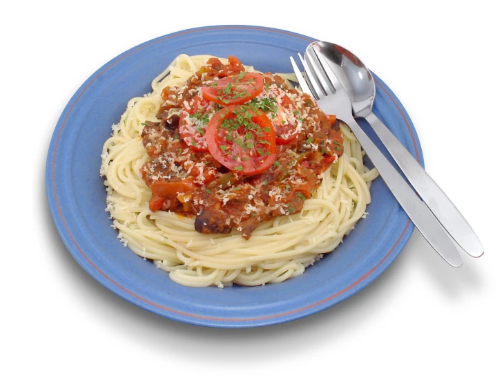 a plate of spaghetti with meat and tomato sauce