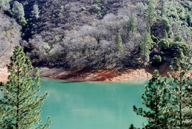 some blue water in a lake surrounded by trees