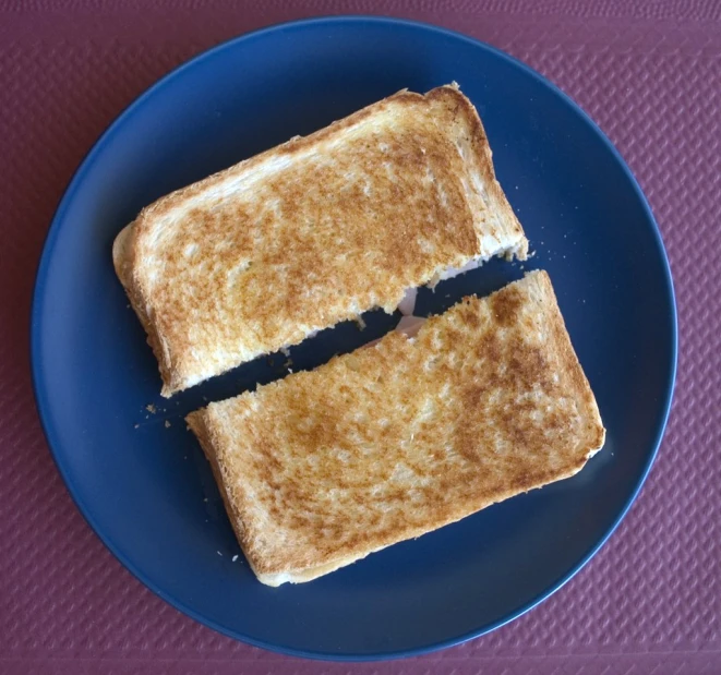 a blue plate with two pieces of toast