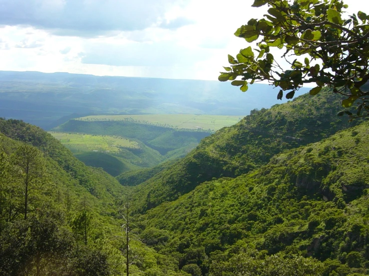 a lush green valley surrounded by hills and trees