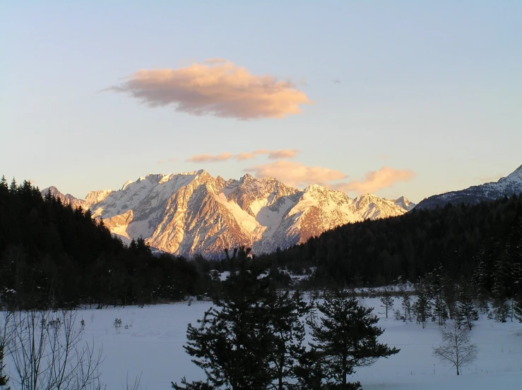 snow covered mountain range at dusk with pine trees