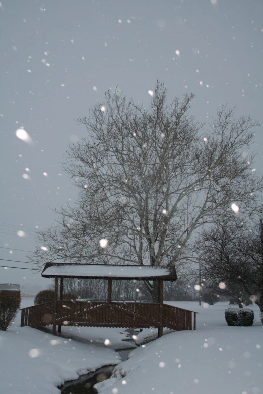 snow falling off the roof and surrounding tree