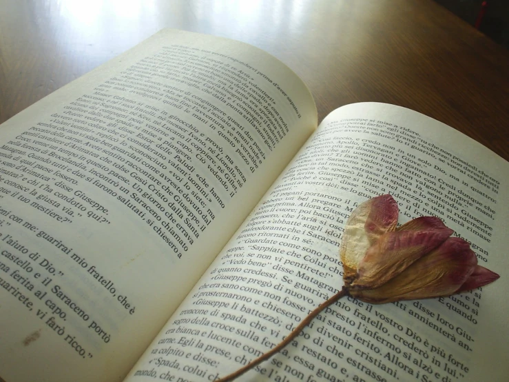 a book is open on a table with a dead leaf