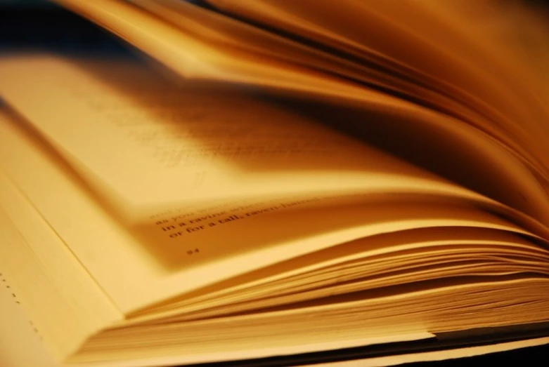 an open book in soft focus with light from the top and pages still attached