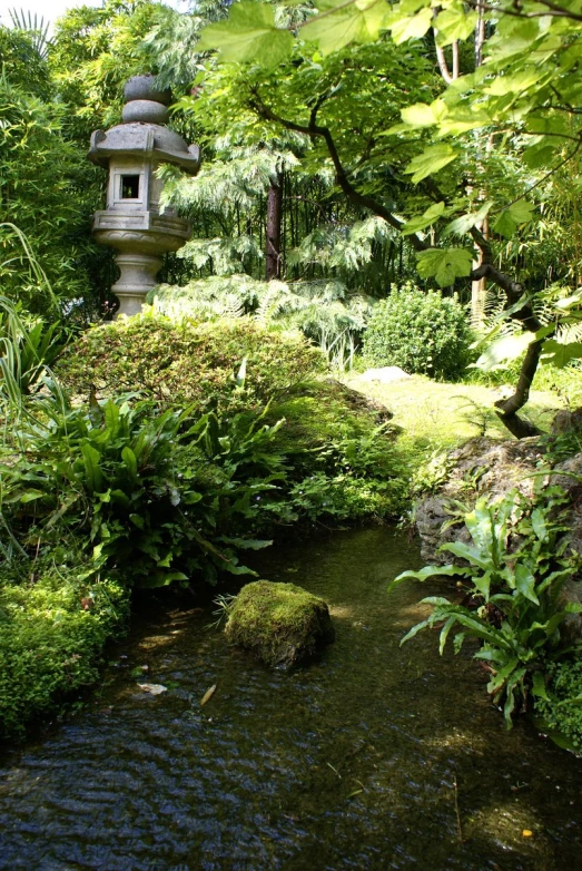 this is an image of a pond in the forest