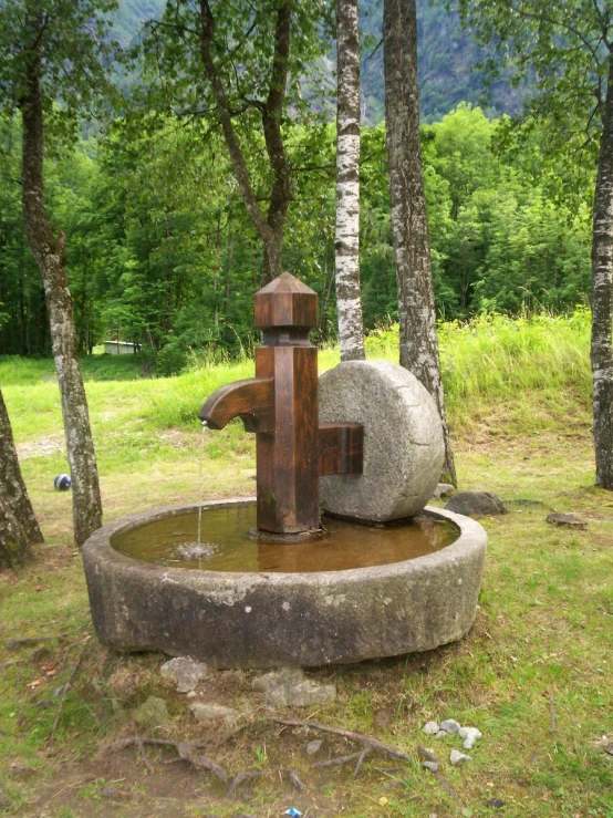 a faucet sitting on top of a cement basin next to trees
