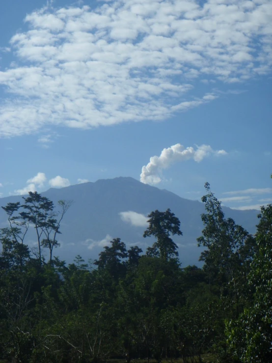 the mountains are behind trees with clouds in the sky