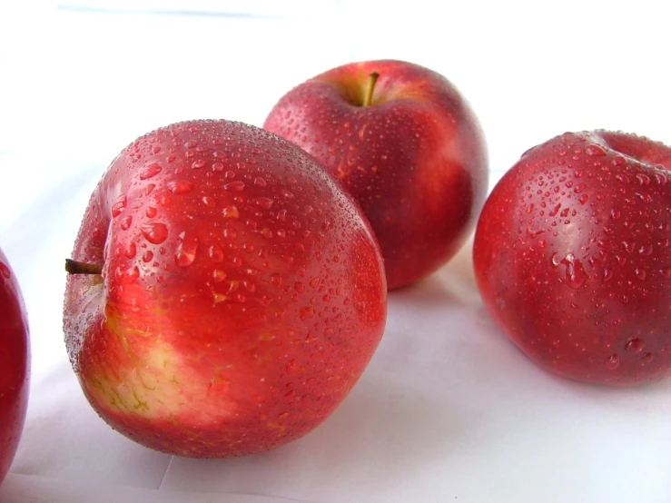 three apples sit on the table with a white background