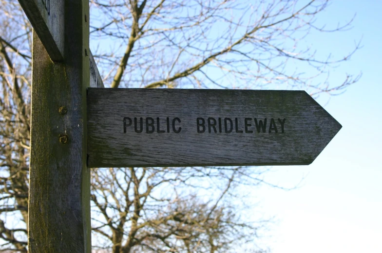 a wood sign pointing in two directions on a tree