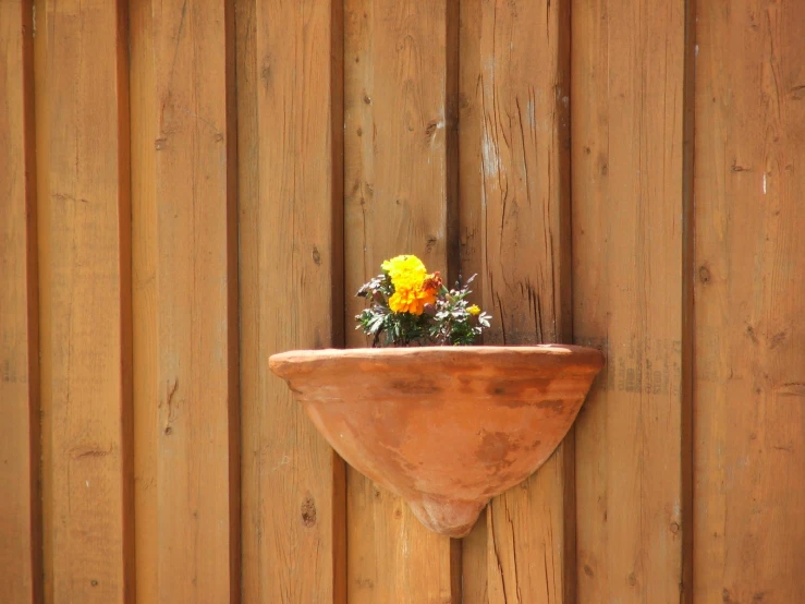 an orange and yellow potted planter on a wooden wall
