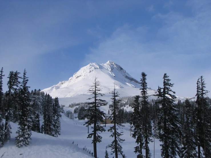 the mountain is covered in snow and trees