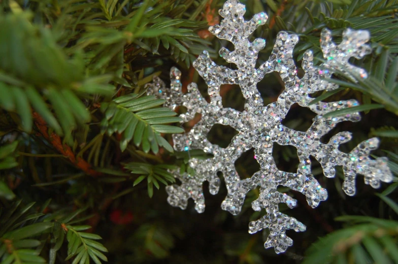 a close up of an ornament on the christmas tree