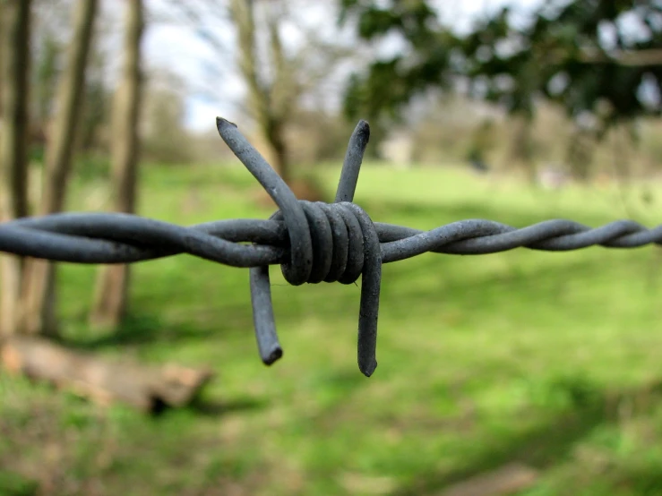 a barbed wire in the park near trees