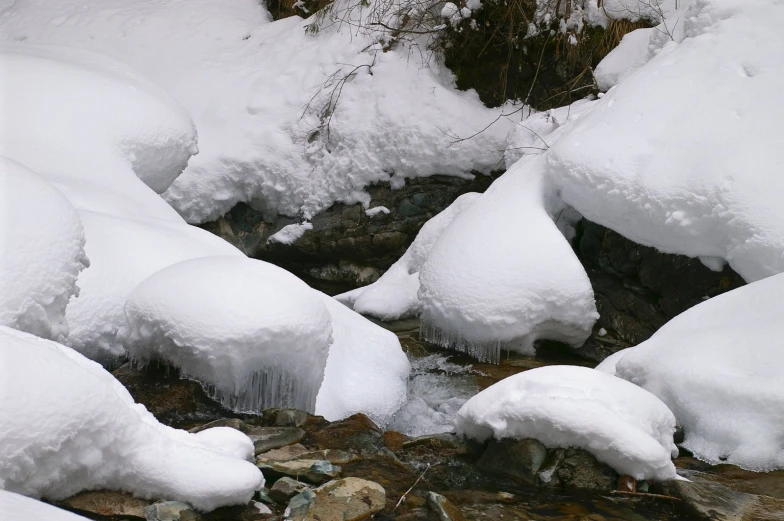 snow covered rocks and plants in a stream