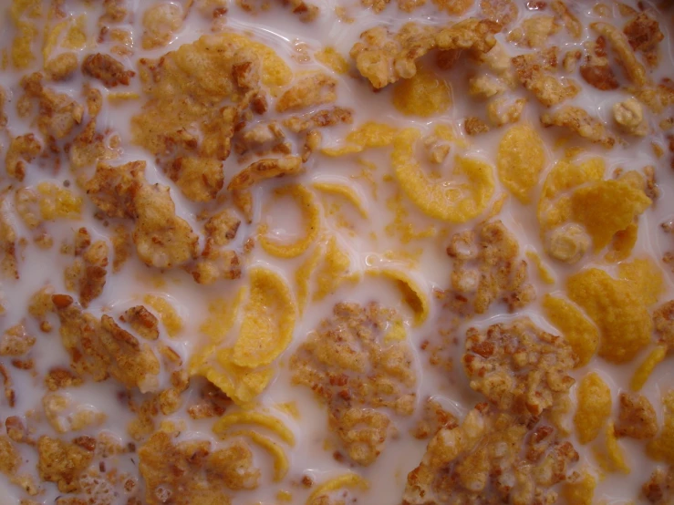 this dish has cereal and milk on it