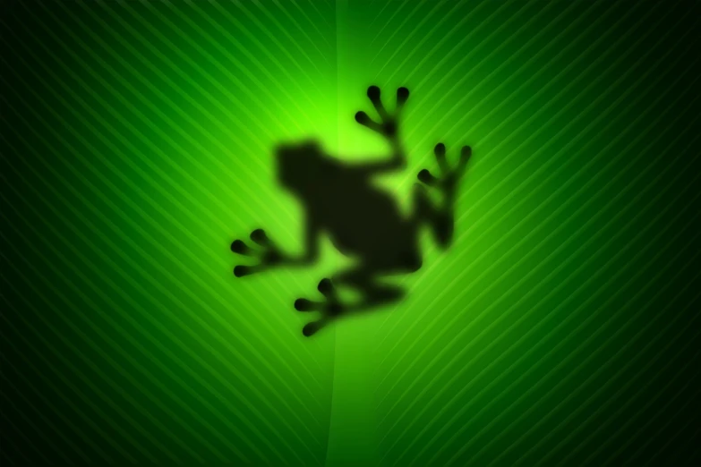 a frog is shown on the green wall