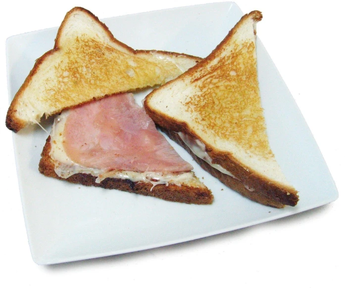 two slices of ham and cheese toast on a white plate