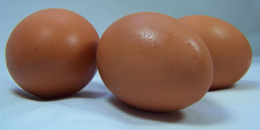 four eggs are shown in this picture