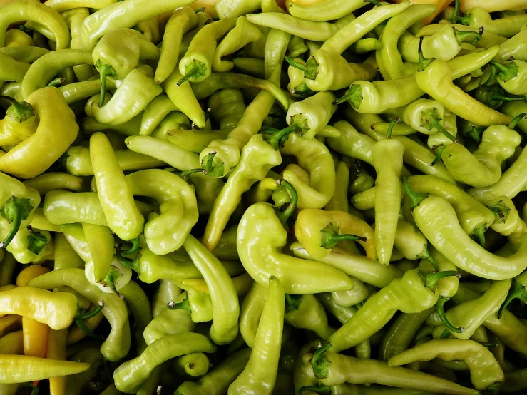 a close up view of some green peppers