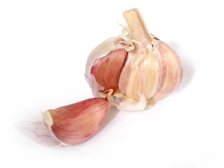 two garlic bulbs sit together on a white surface