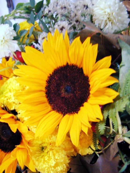 a close - up view of a sunflower next to other flowers