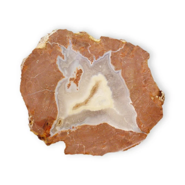 a piece of a meat with two sections of it