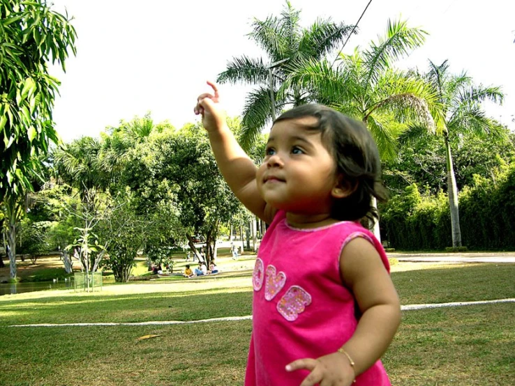 a little girl playing with her kite on a sunny day