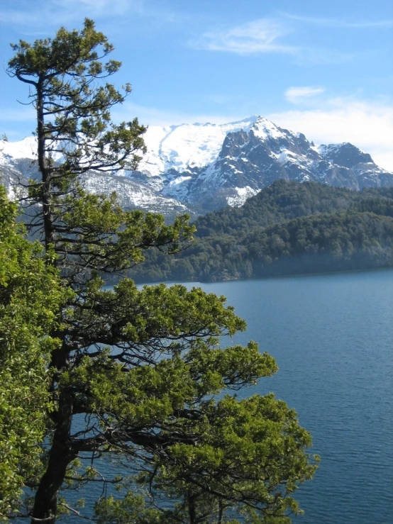 trees overlooking a beautiful blue mountain lake with snow covered mountains