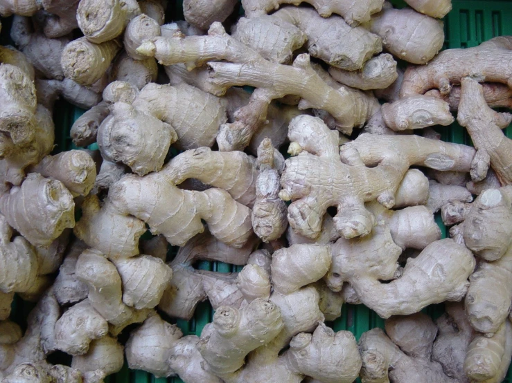 an assortment of fresh ginger root on display