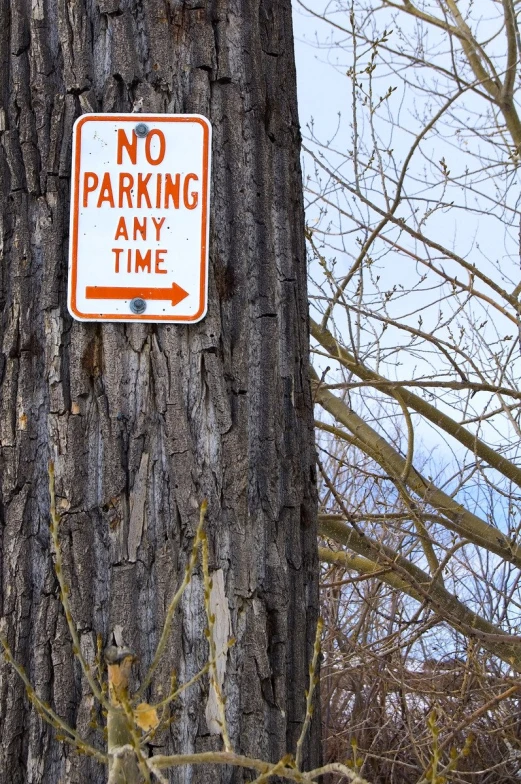 the sign is posted on the side of a tree