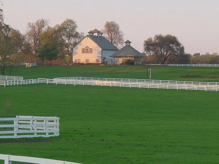 a white horse with a white fence around it