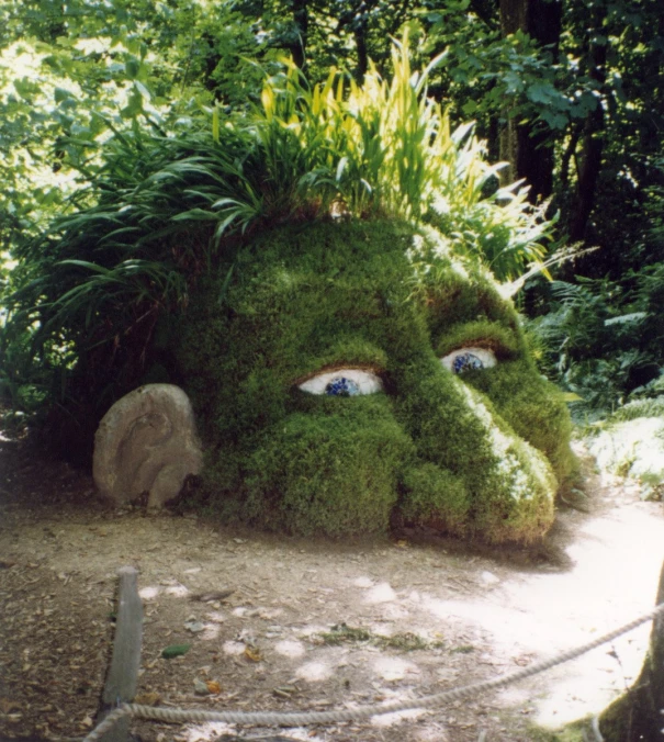 a big grass head on the side of a road