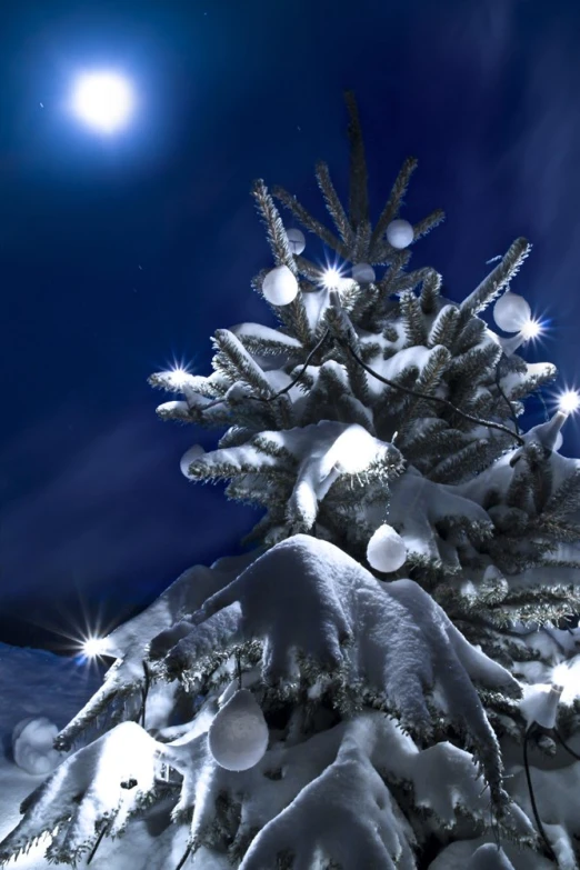 the evergreen tree is covered in snow with a full moon in the distance