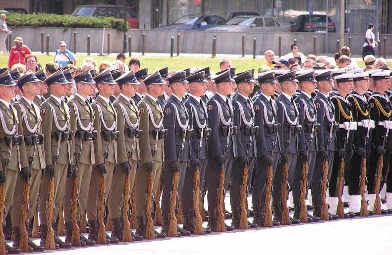 many soldiers lined up in uniform for a ceremony