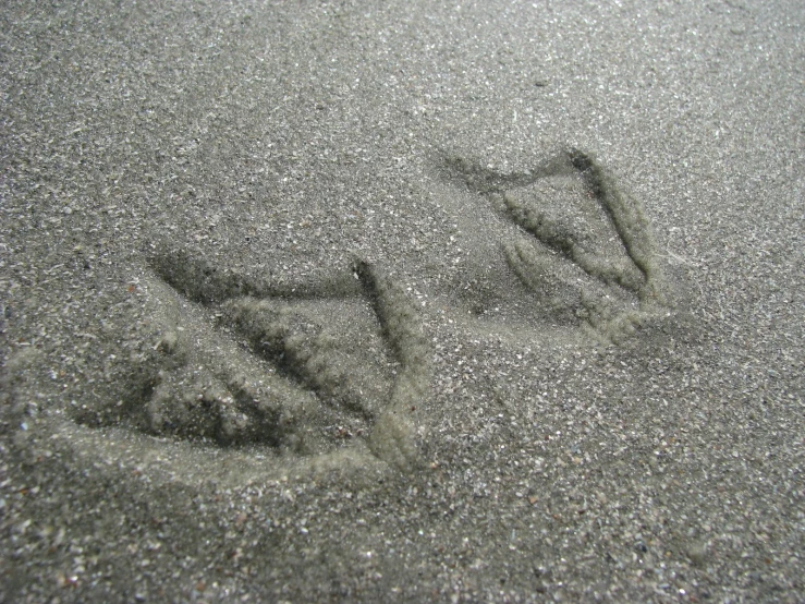 the picture of a footprints in the sand is drawn