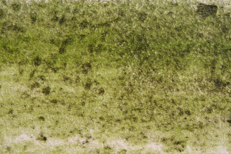 an aerial view of trees on a grass field