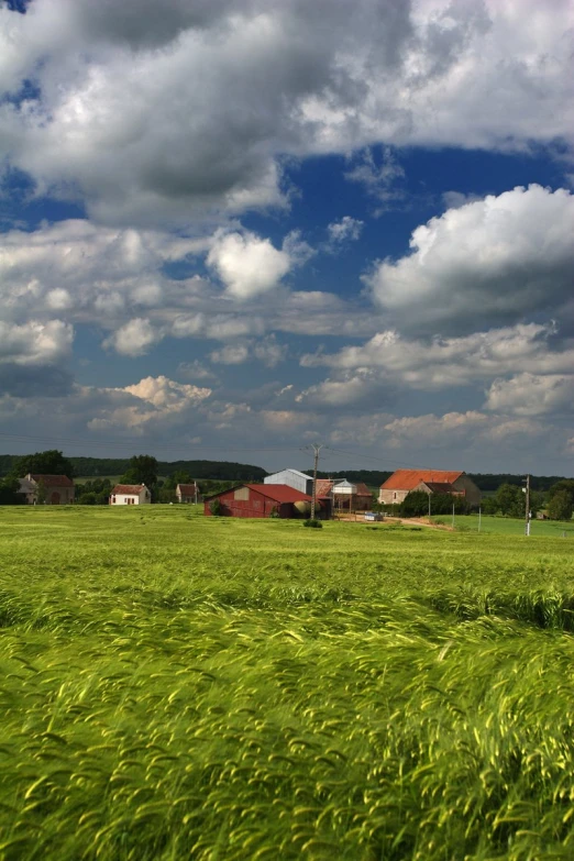 the green field is full of tall grass and houses