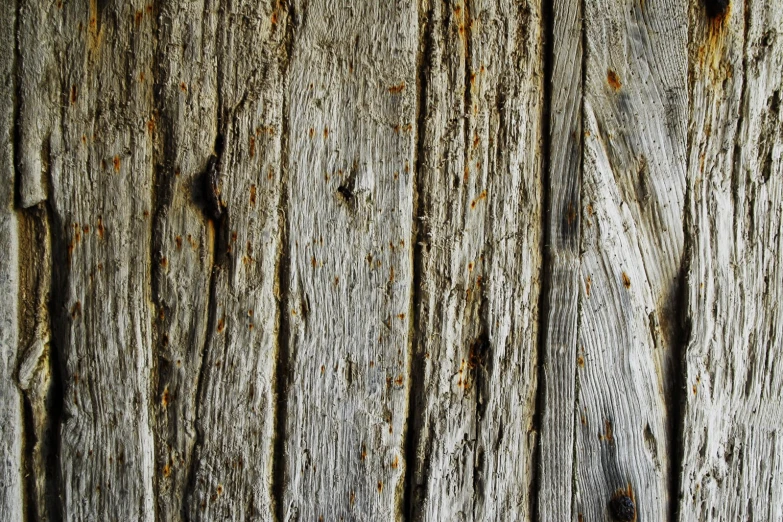 a weathered wood surface with knots and s