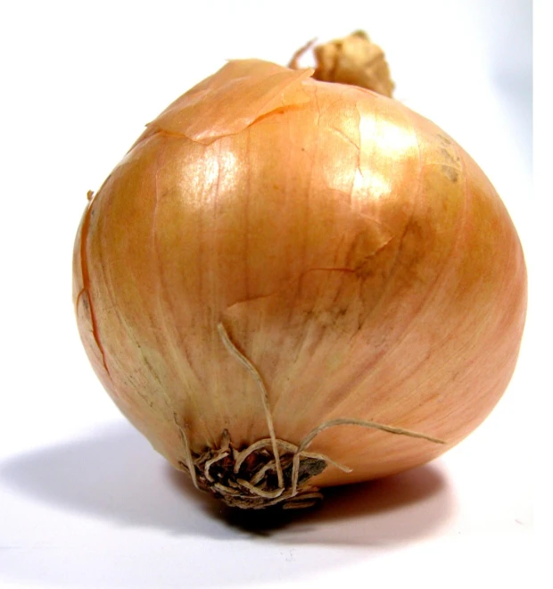 an onion on a white table top