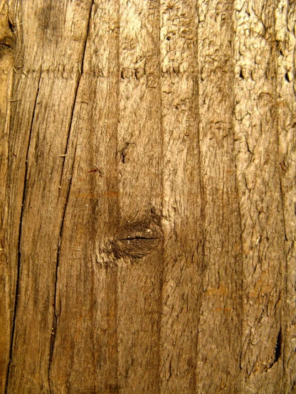 closeup s of peeling wood with little scratches