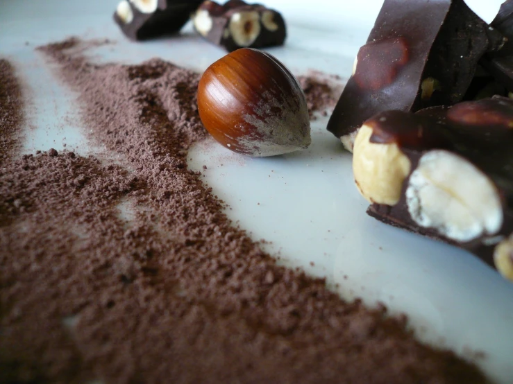 an assortment of chocolate pieces on a white plate