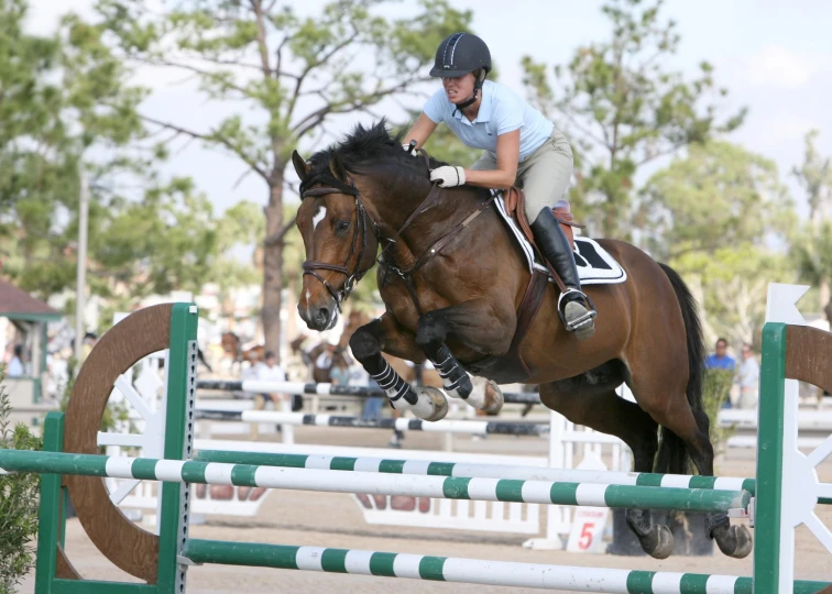 a person jumping a horse over a wooden jump