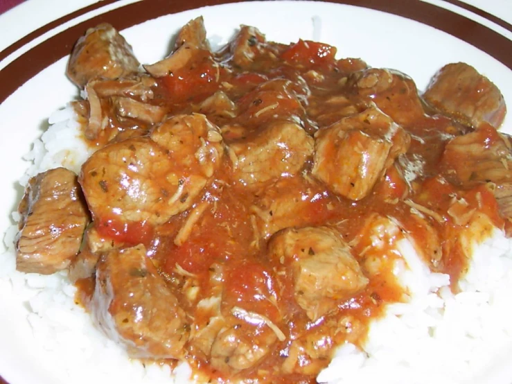 meat and onions in gravy sit on top of white rice