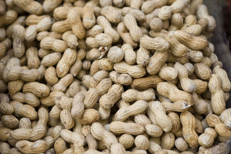 nuts are in a large bowl to be cooked