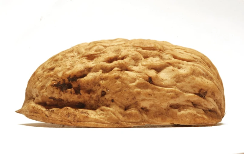 a close up view of a cookie sitting on the ground