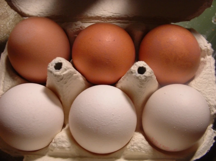 an egg tray containing six eggs, including one white and four brown